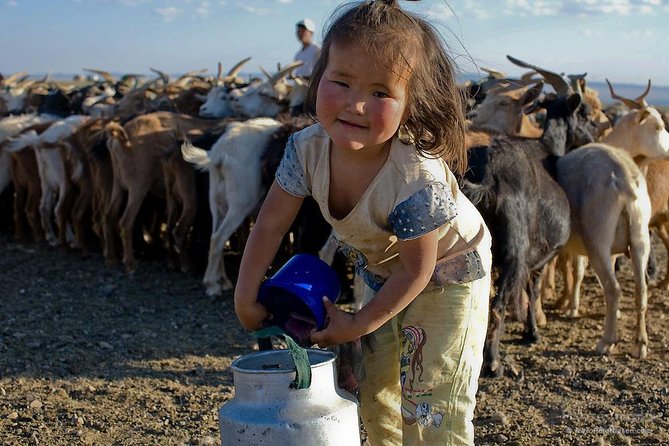 1 Day Semi-Gobi All-included tour - Coffee, snacks, and the long steppe road