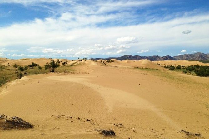 1 Day Semi-Gobi Tour Including Lunch And Free Camel +Bonus Khustai National Park - The Khustai National Park bonus