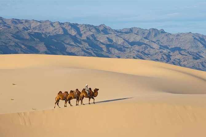 1 Day Semi-Gobi Tour with Lunch And Enjoying Camel or Horseback - Meeting a nomadic family at home