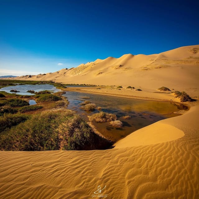 12 day Great Gobi and Central Mongolia full adventure - Day 5: Bayanzag toward Ongi Monastery