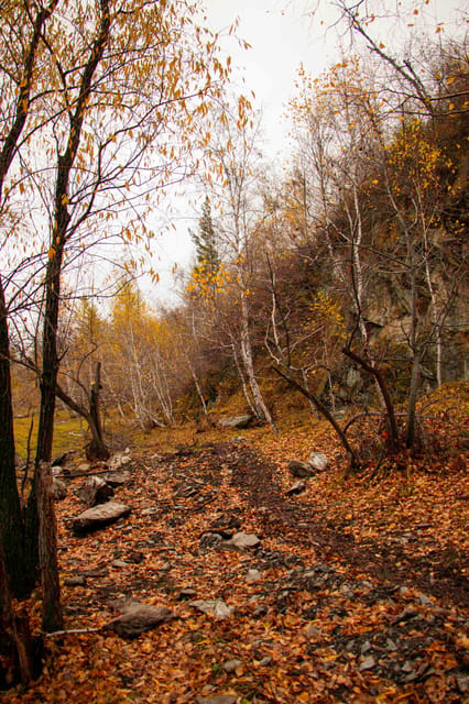 2 Day Horse trekking in Terelj national park - What the $310 price really covers
