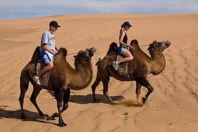 2 Days Hustai National Park and Nomadic homestay tour - Ungut Monument Complex adds an ancient layer