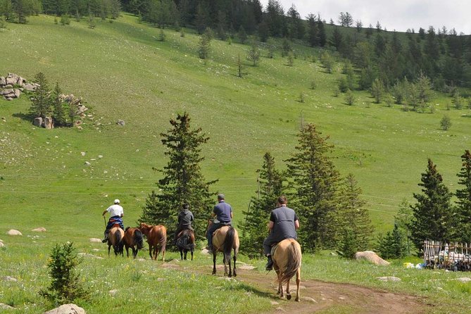 2 Days Tour: Terelj National Park And Chinggis Statue - Day one at the Chinggis Khaan Statue Complex