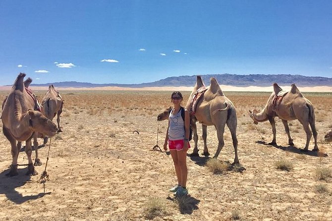 2D,1N Gobi desert and Old city Kharkhorum stay with Nomadic family - Why the Mini Gobi makes a smart short trip