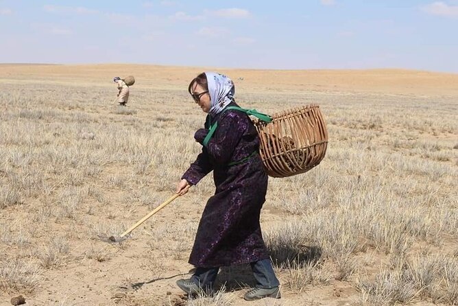 3 Day Nomadic Real Life Experience - Why this is more than a ger camp visit