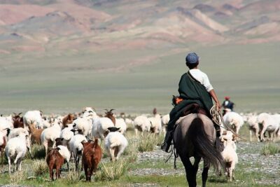 3 Day Nomadic Real Life Experience