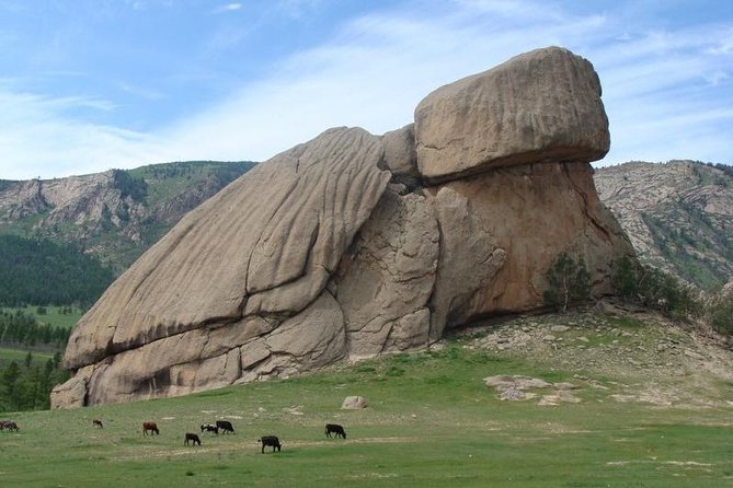 3 DAYS Terelj national park and Central Mongolia - Elsen Tasarkhai brings sand to central Mongolia
