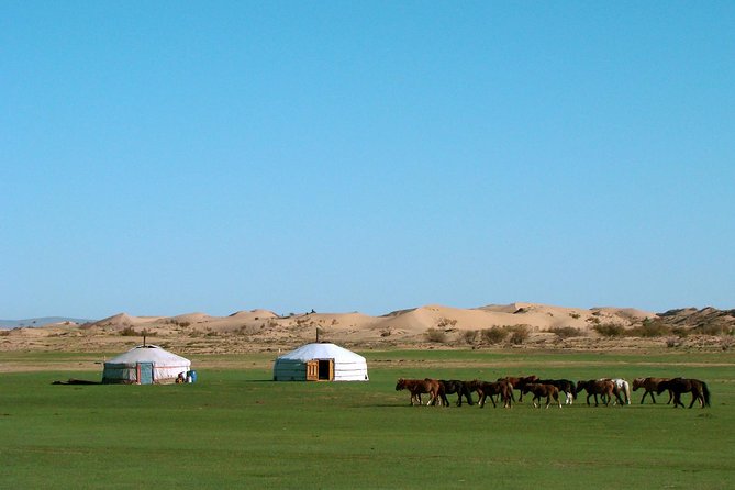 3 Days Three different natural zone and Ancient capital city - Key points to know before booking
