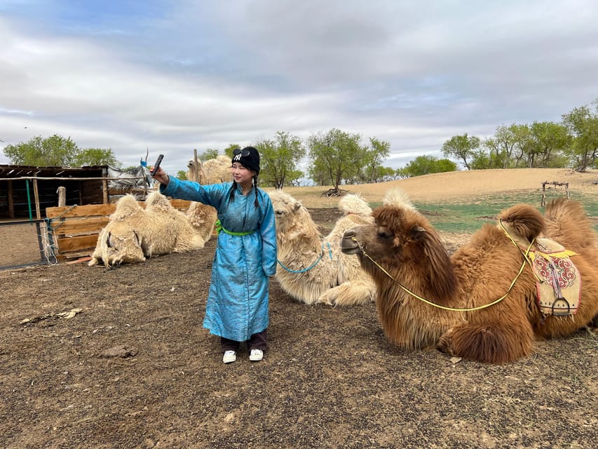 4 Day Best of Central Mongolia tour, Chinggis Khan statue - Day two: Semi Gobi and a night with a nomadic family