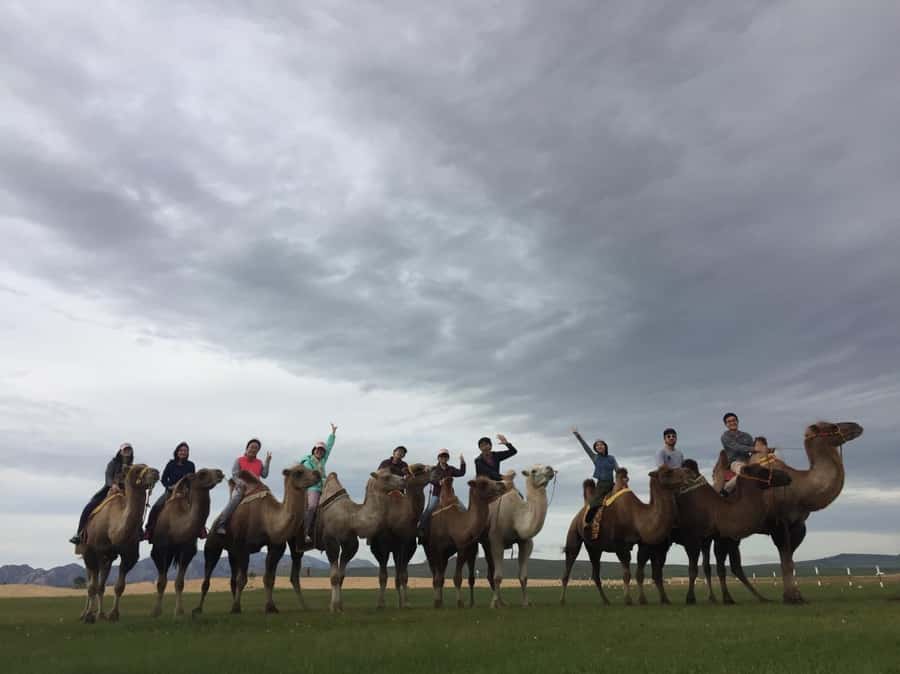 4 Day Central Mongolia - Who should book this Central Mongolia tour?