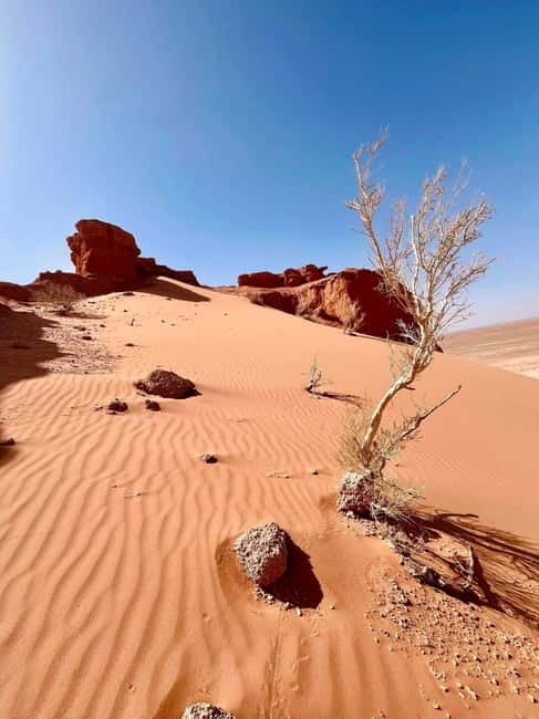 4 day Gobi in express short time - Ger stays, showers, and daily comfort