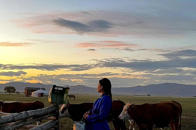 4 Day Nomadic Life Experience In Northern Mongolian - Key points to know before booking