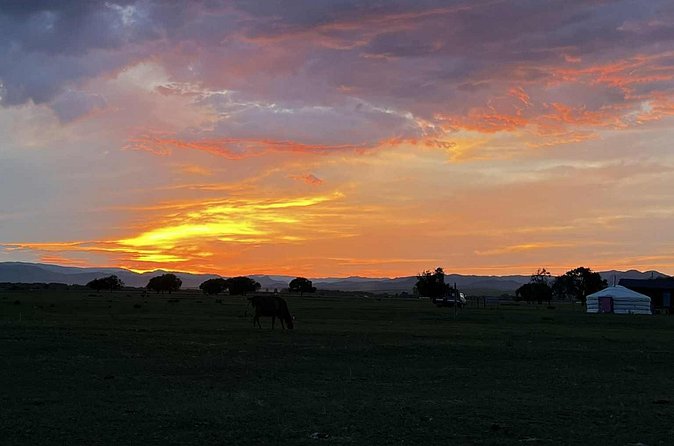 4 Day Nomadic Life Experience In Northern Mongolian - What the $225 price really offers