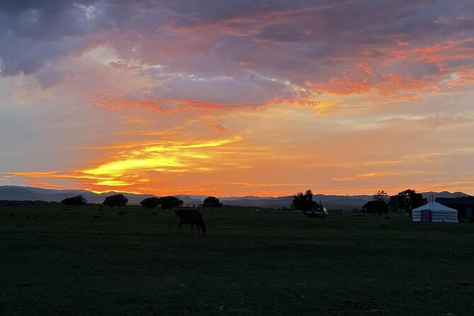 4 Day Nomadic Life Experience In Northern Mongolian - The ger stay and local food