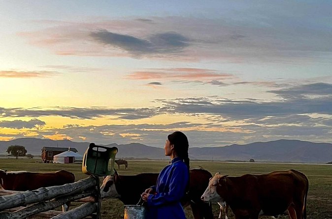 4 Day Nomadic Life Experience In Northern Mongolian - Group size, fitness, and practical planning