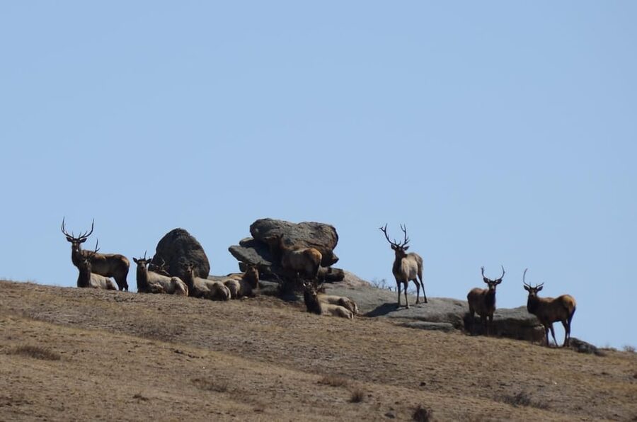 4 day Terelj national park and Great Gobi - What this four-day Mongolia tour is really like