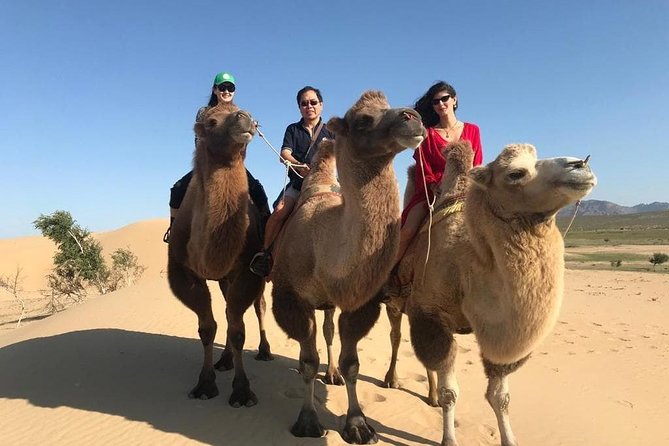 4 Days-The Best of Mongolia Collection tour - Day 1: Sand dunes and camels at Elsen Tasarkhai