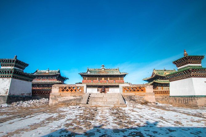 4 Days Tour: Central Mongolia - Day 4: Takhi, wildlife, and the road back