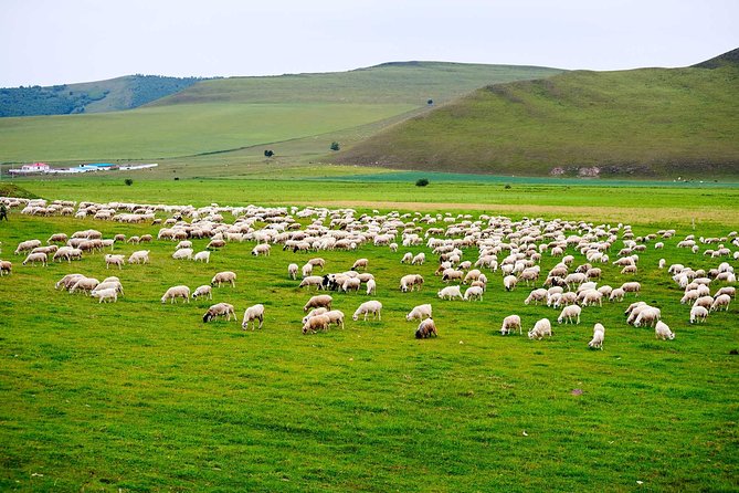 4 Days Tour: Central Mongolia - Day 1: Karakorum and the Mongol Empire