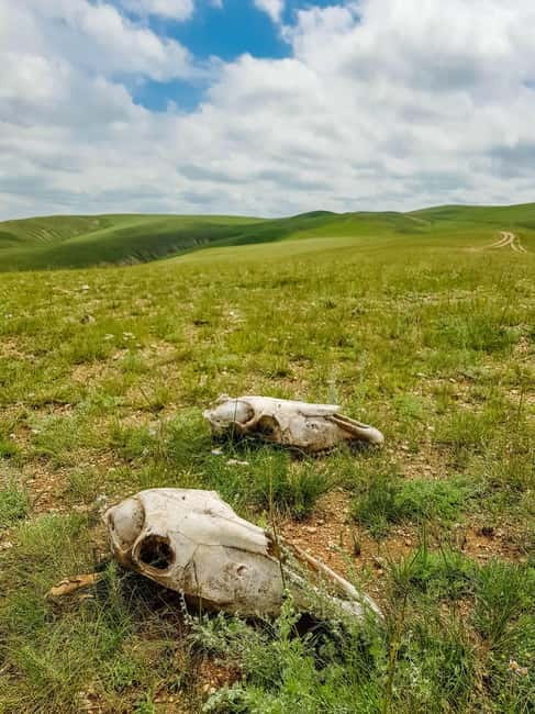 5 day Central Mongolia and Nomad stay tour - Who should book this five-day route?