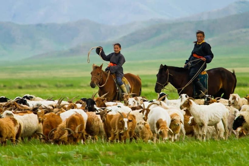 5 day Central Mongolia and Nomad stay tour - Day five: the 370-kilometer return to Ulaanbaatar