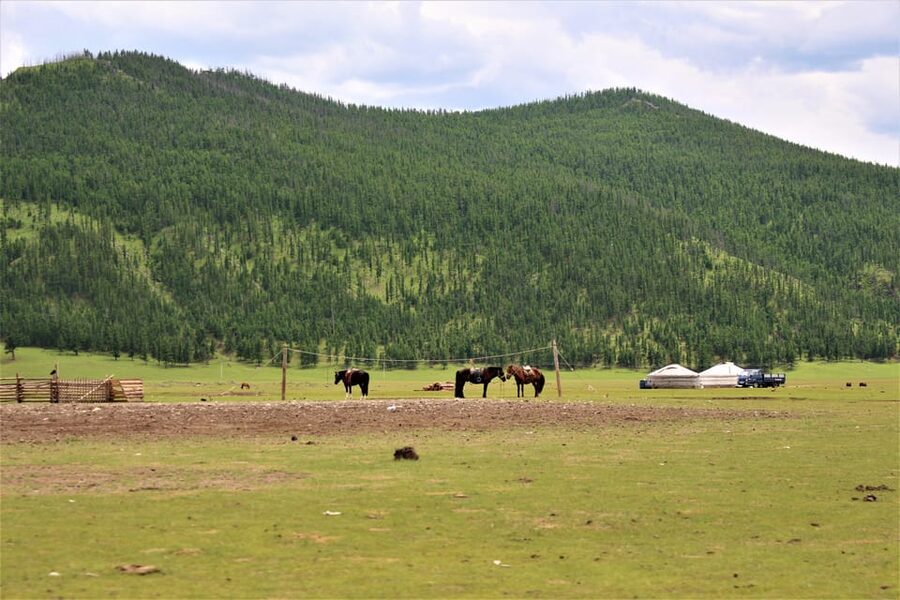 5 day Central Mongolia and Nomad stay tour - The guide, driver, and private format