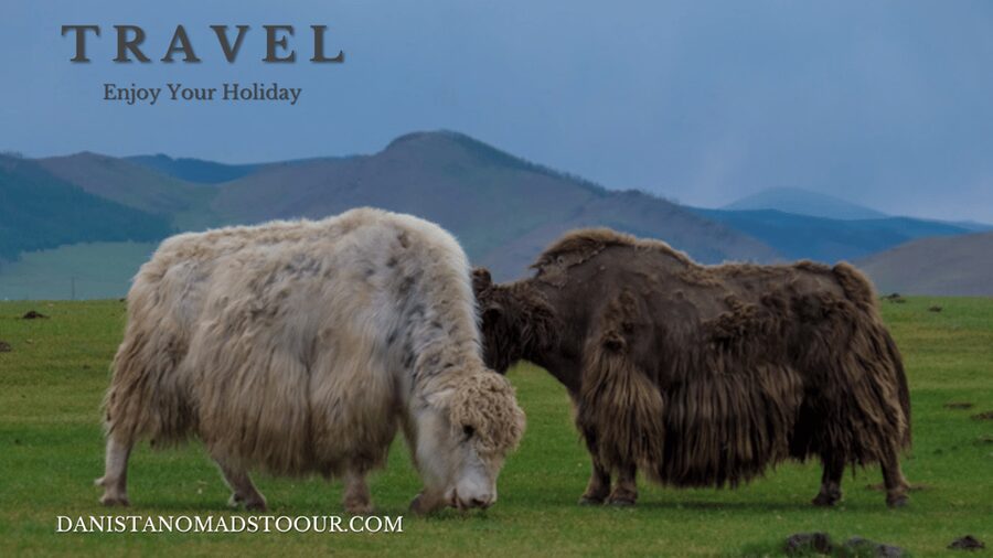 5 day /Terelj, Chinggis Khaan statue, Central Mongolia - Day 1: Turtle Rock, a ger stay, and Chinggis Khaan