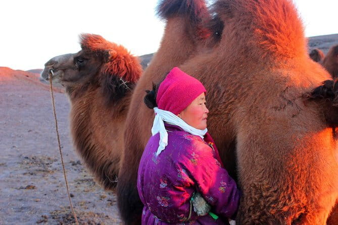 6 Days Color of Gobi Desert - Day 1: Baga Gazriin Chuluu and the first rocky desert