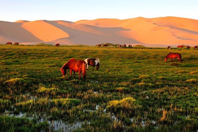 6 Days Color of Gobi Desert - Day 2: The strange colors of White Stupa