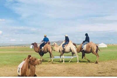6 Days Private Tour in Gobi Desert