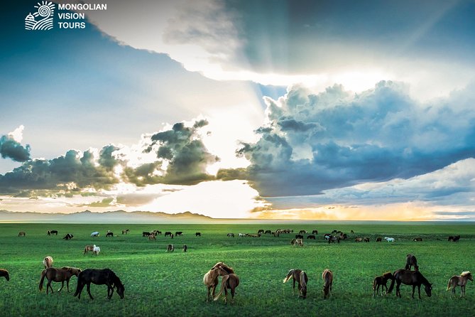 7 days Mongolian Heartland - Five things to know before you book