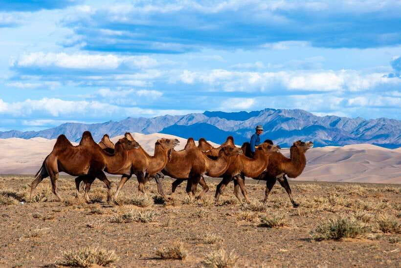 8 DAY GOBI AND CENTRAL MONGOLIA - Day 1: Granite Towers at Baga Gazriin Chuluu