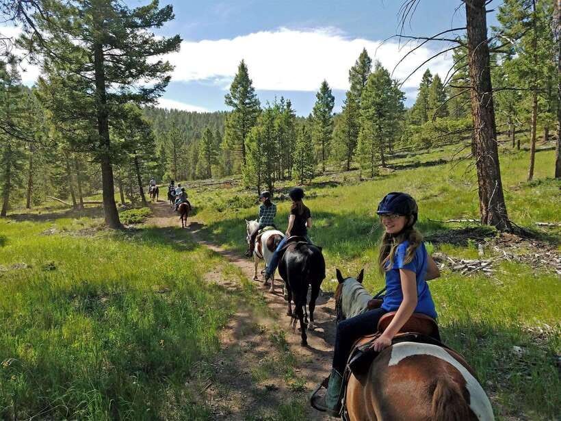 8 DAY GOBI AND CENTRAL MONGOLIA - Day 8: Museum Visit and Return to Ulaanbaatar