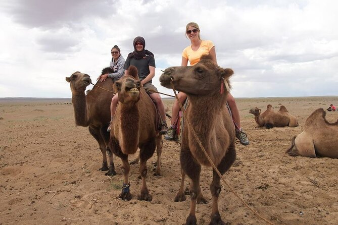 8 Day Great Gobi and Central Mongolia - A fast route from Ulaanbaatar to the Gobi