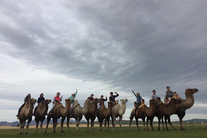 8 Day Great Gobi and Central Mongolia - Day 3: Khongoriin Els and the singing dunes
