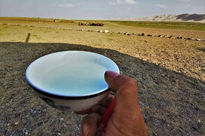 8 Day Great Gobi and Central Mongolia - Day 5: Orkhon Waterfall and the change to Central Mongolia