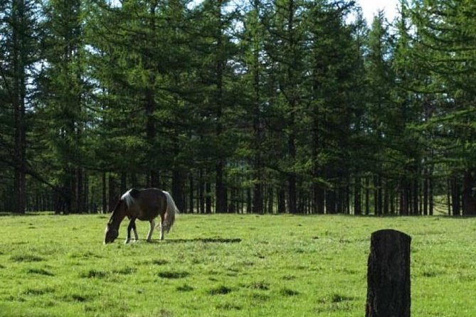 8 Days / 8 Lake area Central Mongolian horse trekking - Day 6: Karakorum and the Mongol Empire