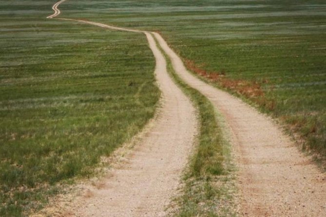 8 Days / 8 Lake area Central Mongolian horse trekking - Day 8: One last camel ride before Ulaanbaatar