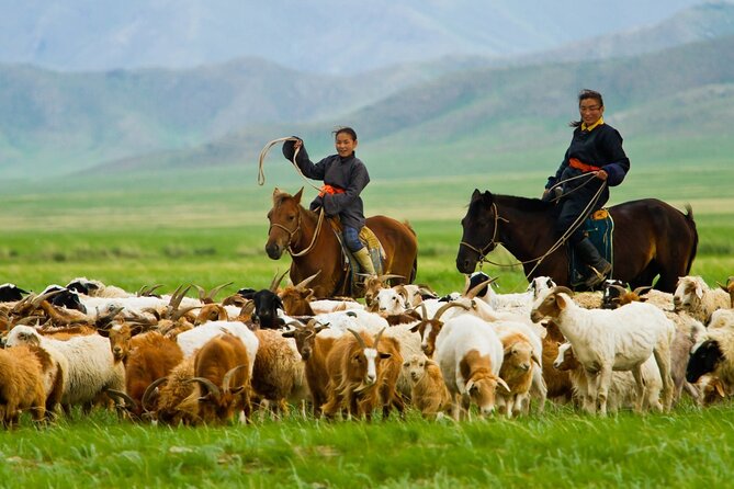 8 Days / 8 Lake area Central Mongolian horse trekking - Day 1: Wild horses at Hustai and camels at Elsen Tasarkhai