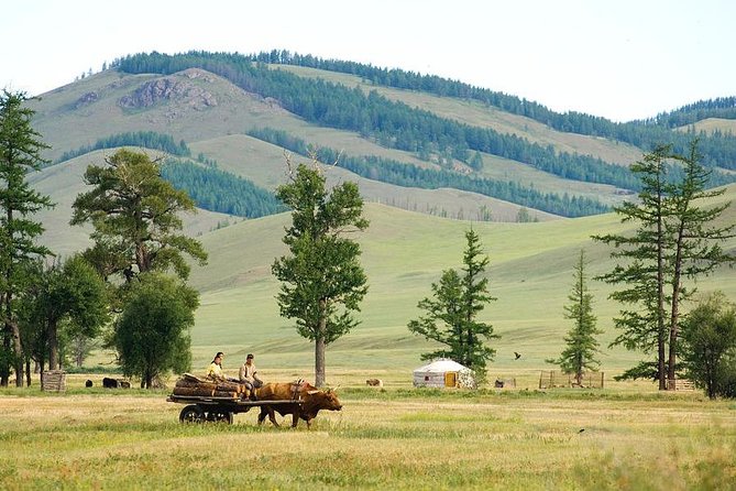 A day trip to Terelj National Park and Statue of Chinggis Khan - Why this makes sense from Ulaanbaatar