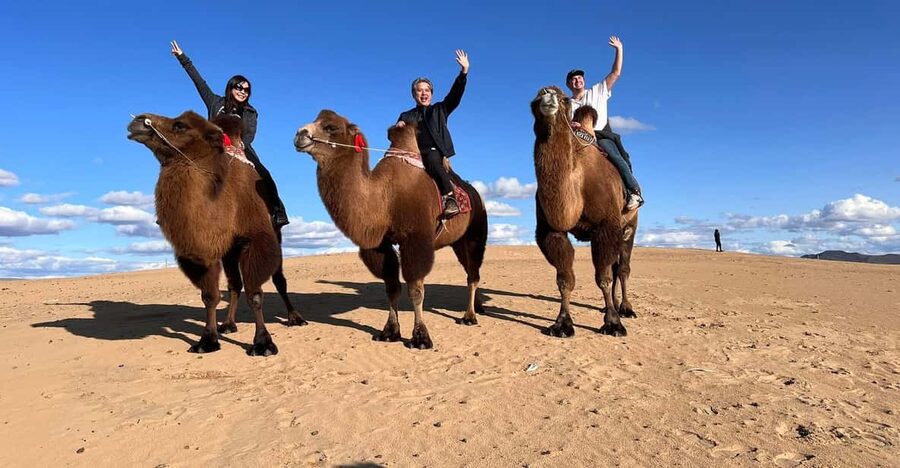 Camel Trails and Bird Tales: Discovering Elsen Tasarkhai - Who should book this day trip?