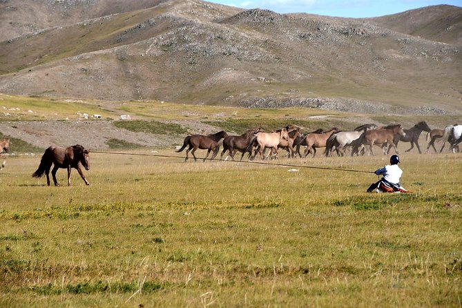 Day Trip to Terelj National Park & Giant Chinggis Khaan Statue - From Ulaanbaatar to the Chinggis Khaan statue
