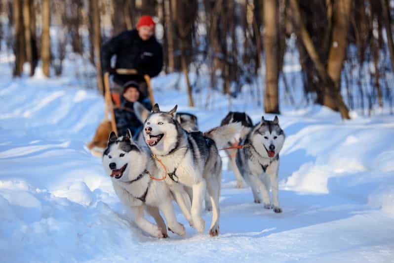 Dog Sledding , Terelj National park ,Chinggis Khaan statue - Terelj National Park and its dramatic rock formations