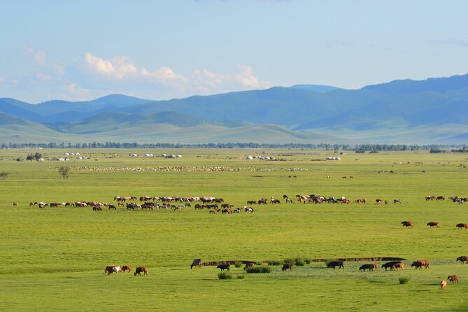 Essence of Mongolia 4 Days - Day 1: Gurvanbulag and your first night in a family ger