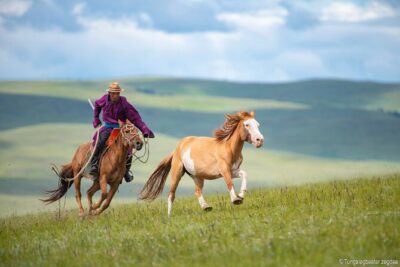 Essence of Mongolia 4 Days