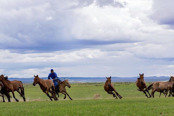 Essence of Mongolia 5 Days - Key points at a glance