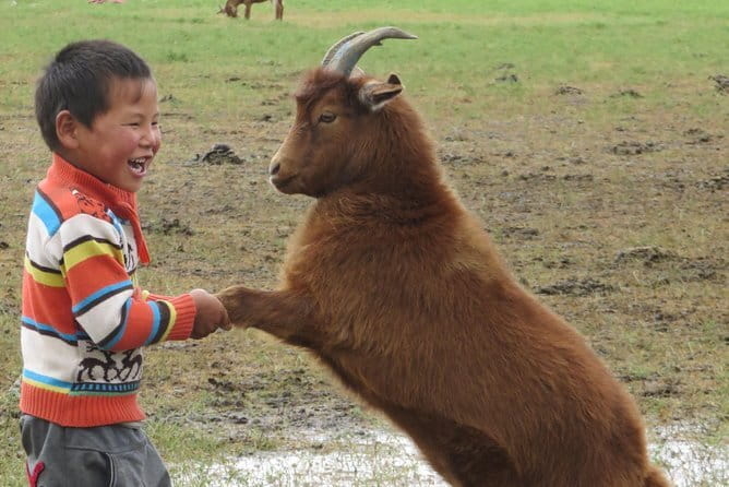 Essence of Mongolia 5 Days - Day 1: From Ulaanbaatar to Gurvanbulag