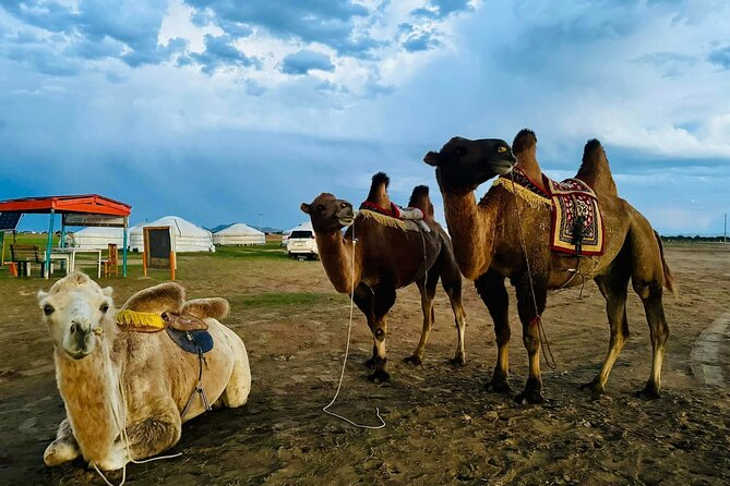 From UB: 2 Days Private Tour to Kharkhorin and Mini Semi Gobi - Horse and camel rides: useful extras, not automatic inclusions