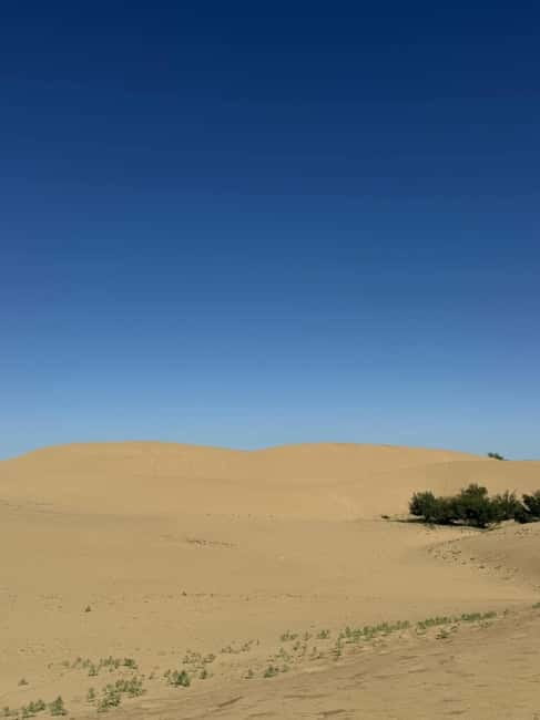 From UB: 2-Days Tour to Kharhorin and sand Semi Gobi - Elsen Tasarkhai and the Semi Gobi
