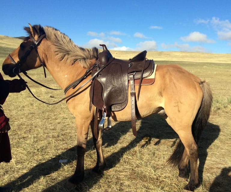 From Ulaanbaatar: Day Trip to Hustai National Park - Key points at a glance
